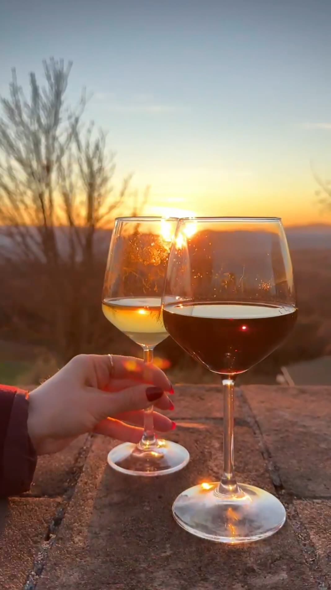 Calici di vino al tramonto